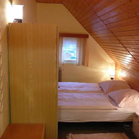 In Rokytnice Nad Jizerou 2338